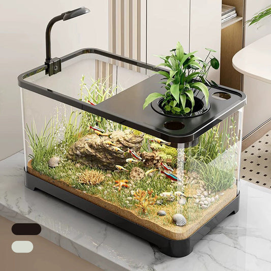 Small Home Fish Tank