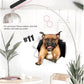3D Removable Cat and Dog Wall Stickers