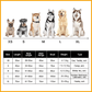 🔥Hot Sale 50% OFF🔥Super absorbent Pet Bathrobe