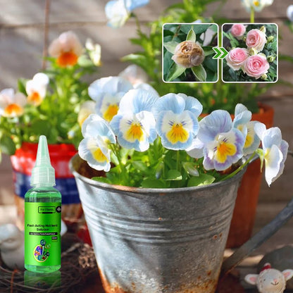 🌱Environmental protection is the trend, green is the attitude!⏰Fast-Acting Nutrient Solution for Plants
