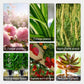🌱Environmental protection is the trend, green is the attitude!⏰Fast-Acting Nutrient Solution for Plants