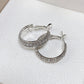 Small sparkling earrings