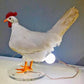 SPECIAL OFFER - 48% DISCOUNT - Chicken egg lamp