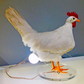 SPECIAL OFFER - 48% DISCOUNT - Chicken egg lamp