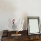 SPECIAL OFFER - 48% DISCOUNT - Chicken egg lamp