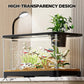 Small Home Fish Tank