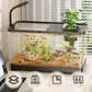 Small Home Fish Tank