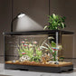 Small Home Fish Tank