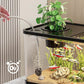 Small Home Fish Tank